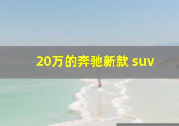 20万的奔驰新款 suv